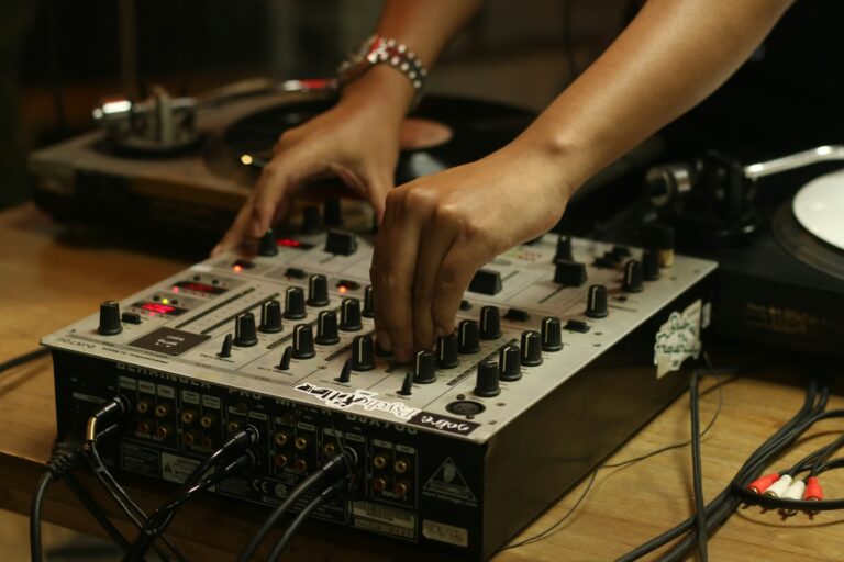 DJ 與電子音樂 介紹