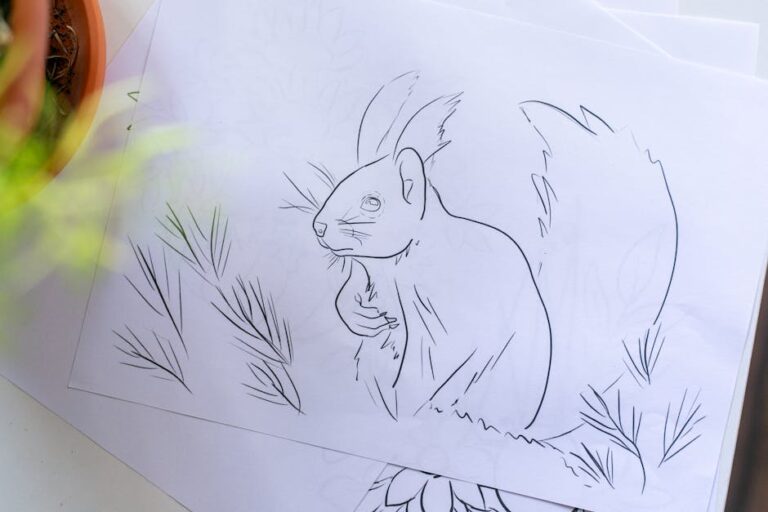插畫 介紹