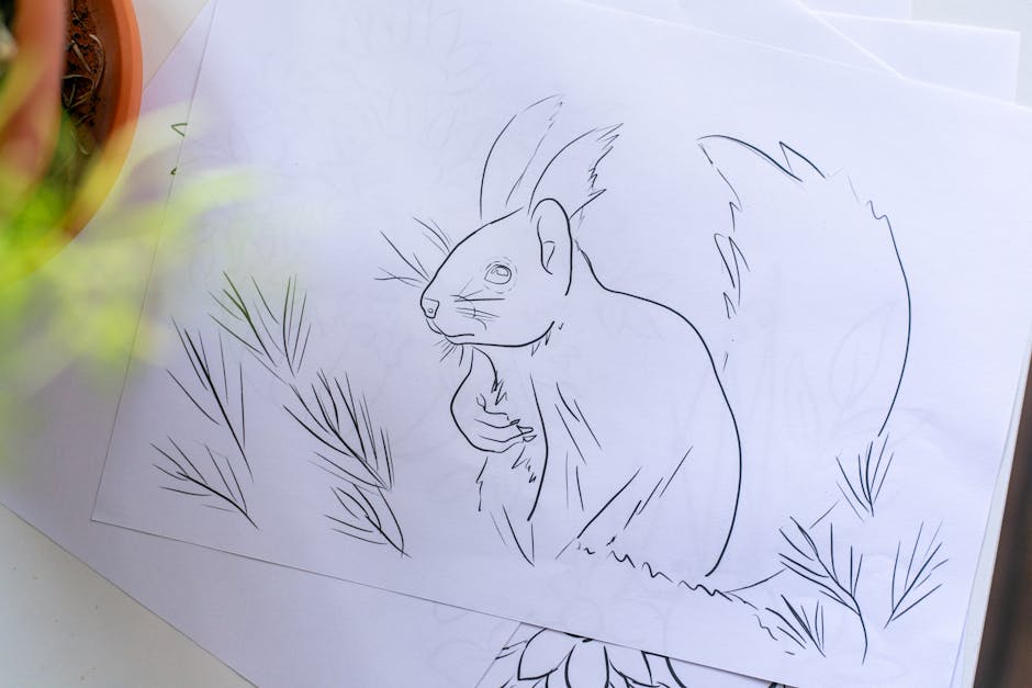 插畫 介紹
